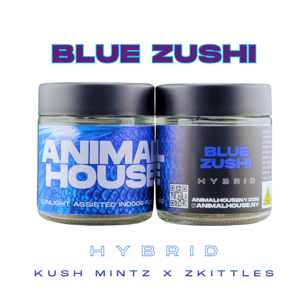 Animal House - Animal House | Blue Zushi | Big Buds | 3.5g - 1
