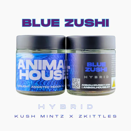 Animal House - Animal House | Blue Zushi | Big Buds | 3.5g - 1