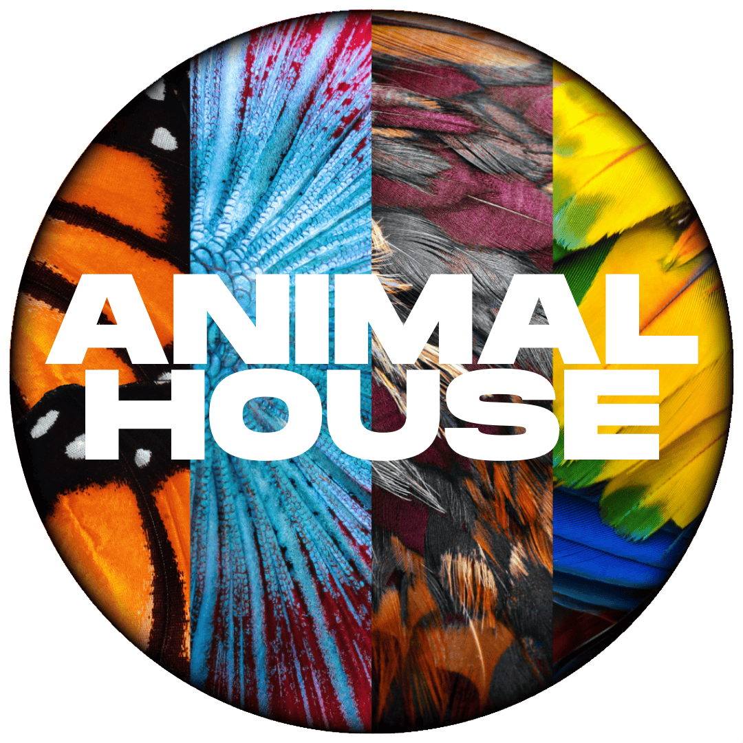 Animal House - Animal House | Peak 112 | Big Buds | 3.5g - 1