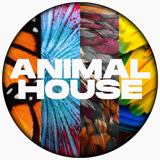 Animal House - Animal House | London Pound Cake | Big Buds | 3.5g - 1