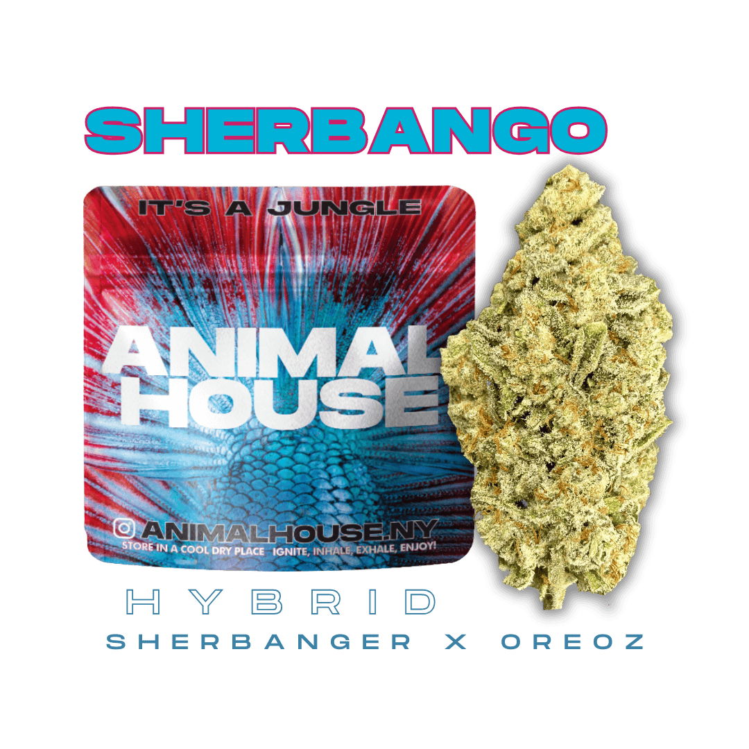 Animal House - Animal House | Sherbango | Big Buds | 3.5g - 1