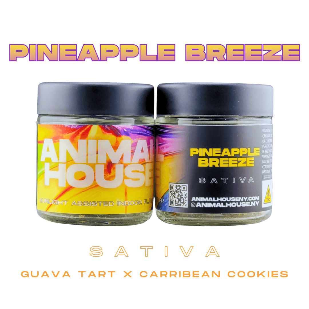 Animal House - Animal House | Pineapple Breeze | Big Buds | 3.5g - 1