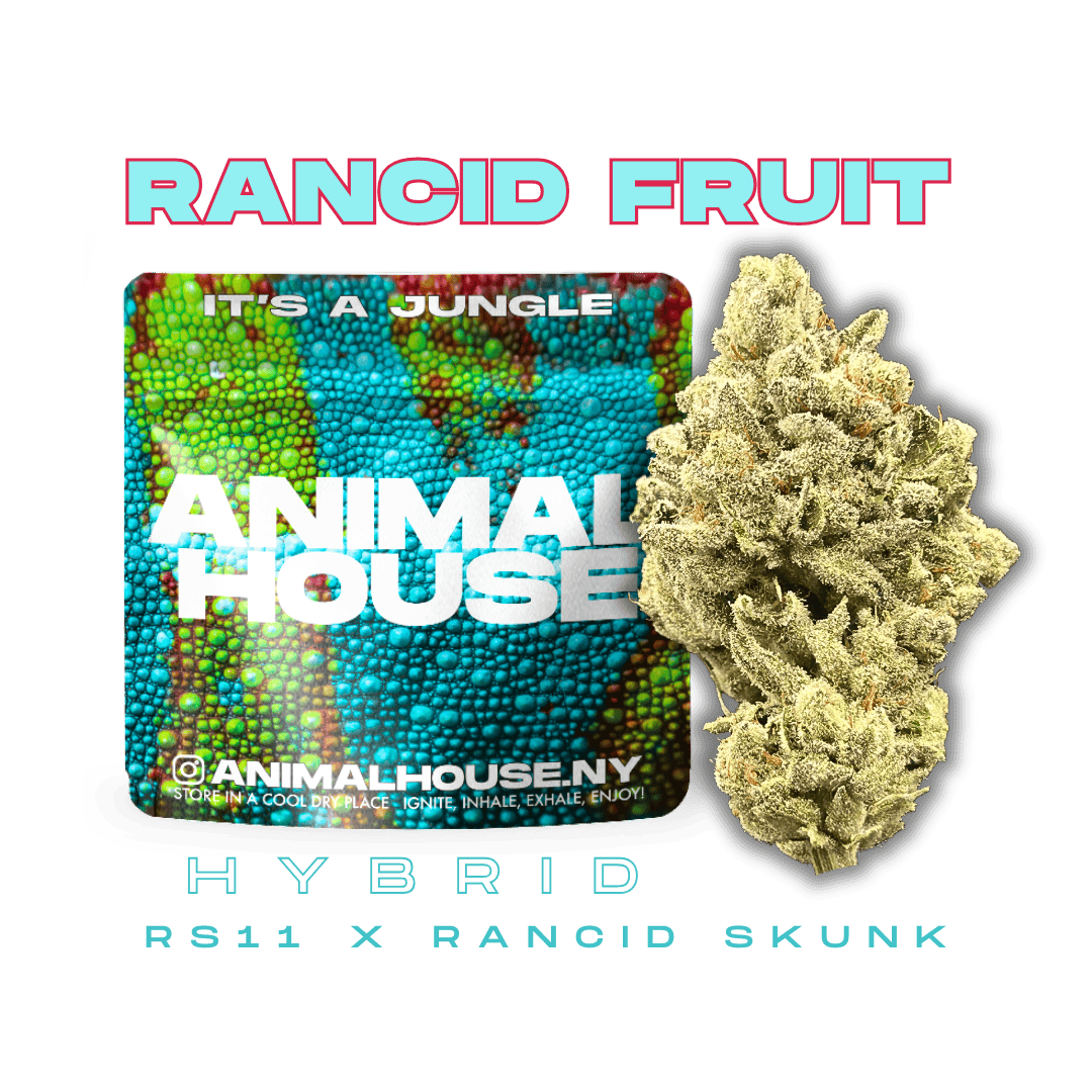 Animal House - Animal House | Rancid Fruit | Big Buds | 3.5g - 1