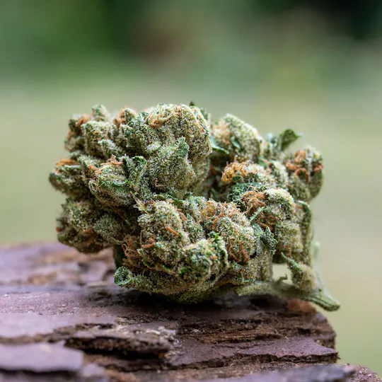 Farm Cut - Farm Cut | Down OM Farms | OG | Flower | 7.5g - 1