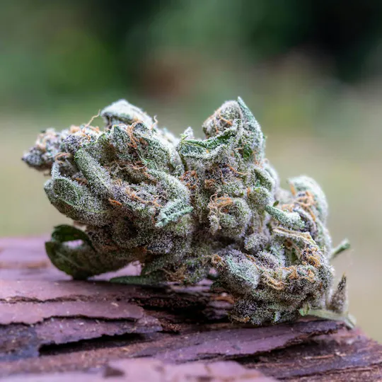 Farm Cut - Farm Cut x Down OM Farms | Superboof | Big Buds | 7.5g - 1