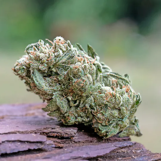 Farm Cut - Farm Cut | Down OM Farms | Chem D | Flower | 7.5g - 1