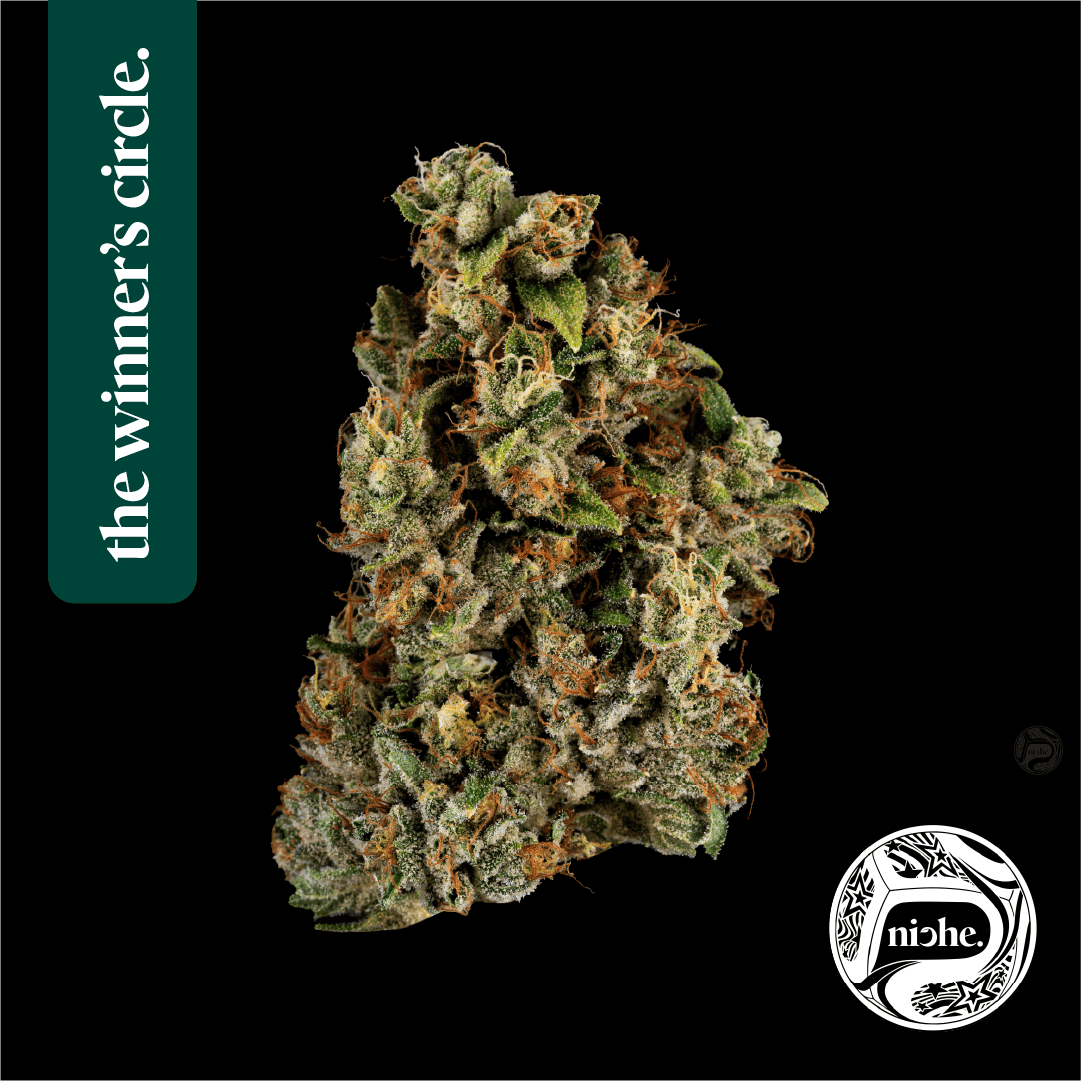Niche - Alien OG | Medallion Series 3.5g - 1