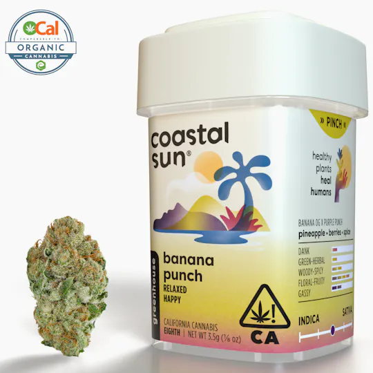 Coastal Sun - Banana Punch Greenhouse Flower 3.5g - 1