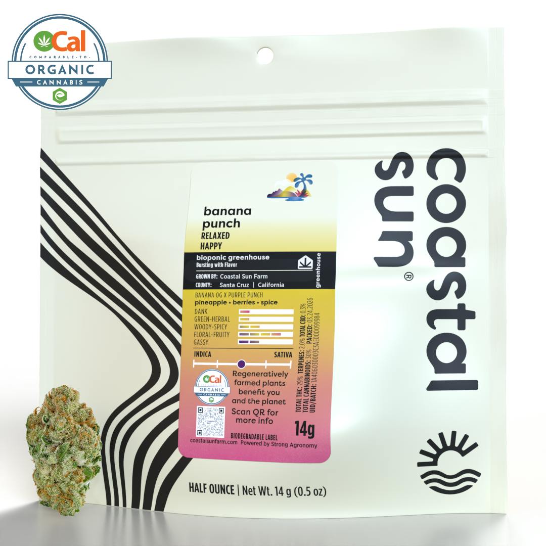 Coastal Sun - Banana Punch Greenhouse Flower 14g - 1