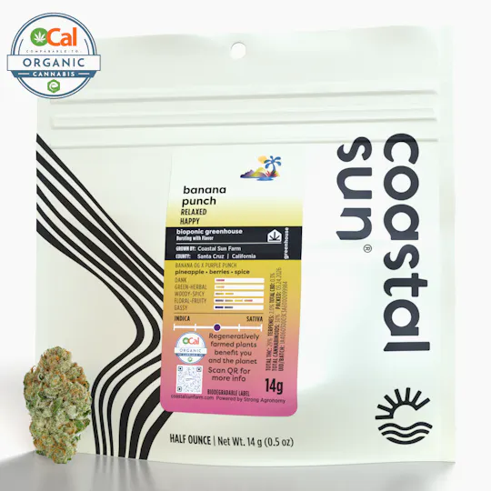 Coastal Sun - Banana Punch Greenhouse Flower 14g - 1