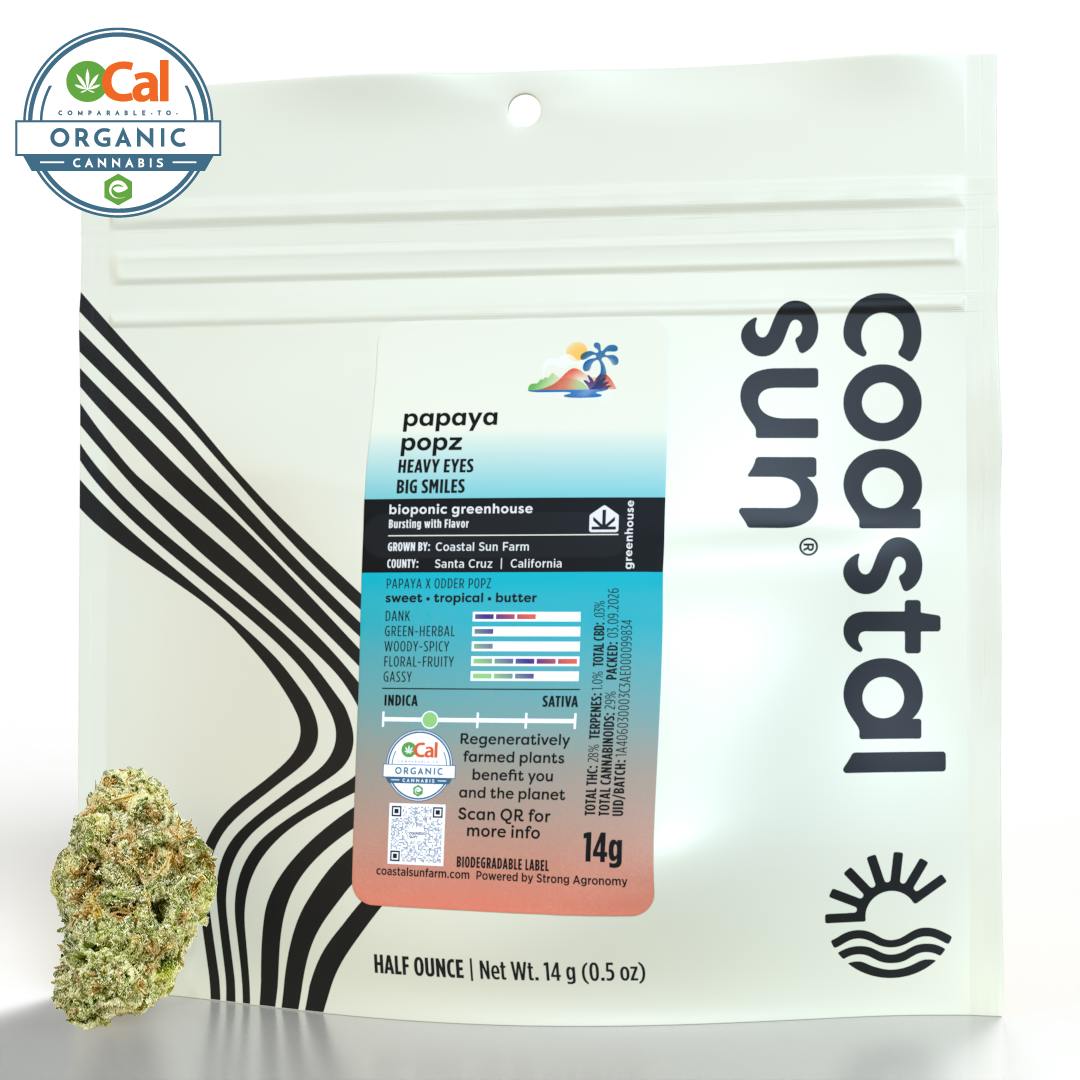 Coastal Sun - Papaya Popz Greenhouse Flower 14g - 1