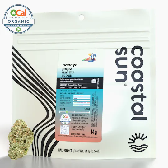 Coastal Sun - Papaya Popz Greenhouse Flower 14g - 1