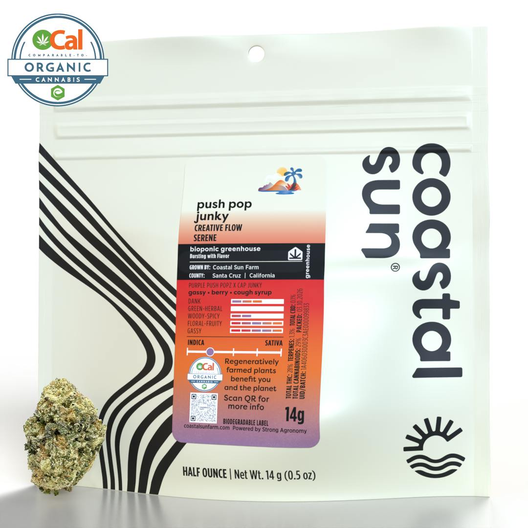 Coastal Sun - Push Pop Junky Greenhouse Flower 14g - 1