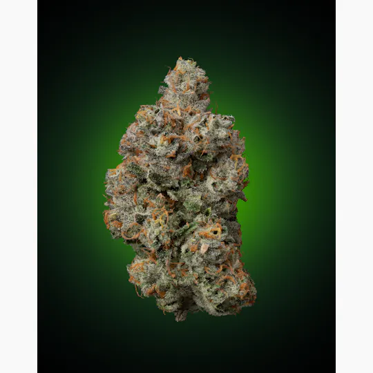 Faded Cannabis Company - Banana Cooler - ( Banana Cream Cake x Biscotti Sherb ) - 1