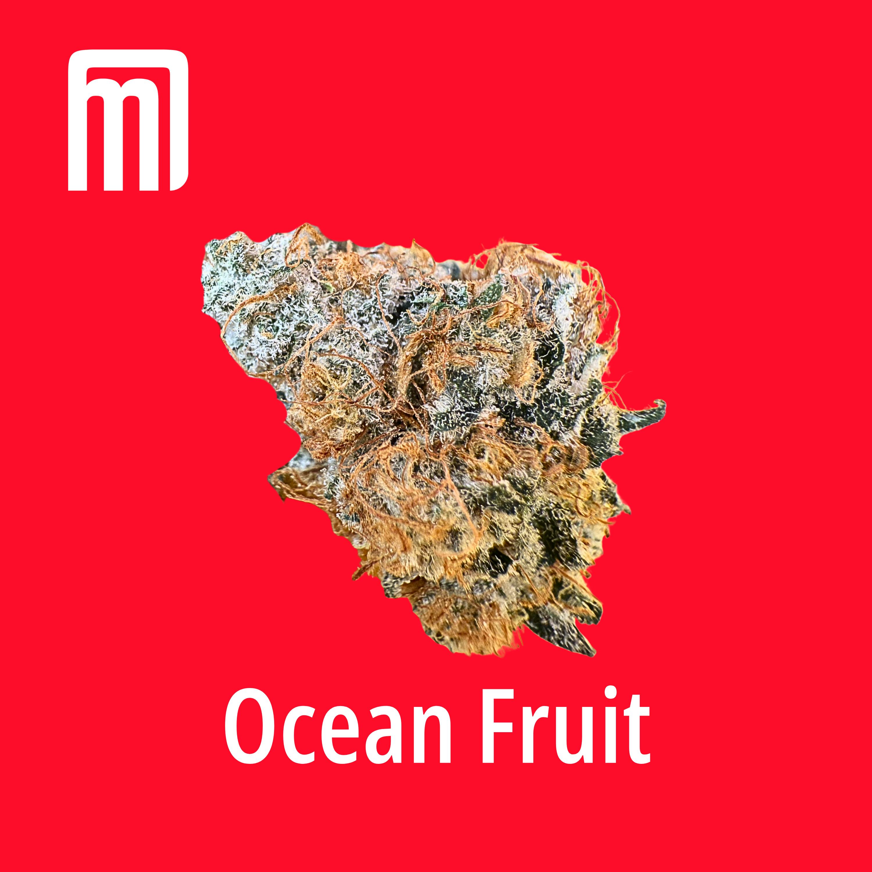 Moment Maryland - Ocean Fruit - 1