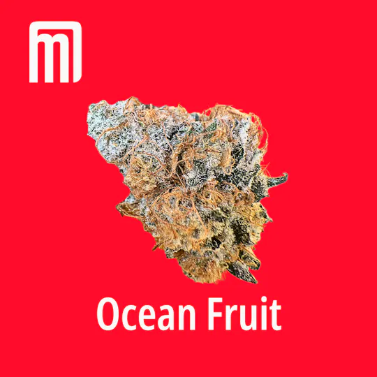 Moment Maryland - Ocean Fruit - 1