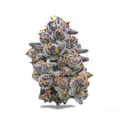 Society C - Society C | Cadillac Rainbows | Big Buds | 2g - 1