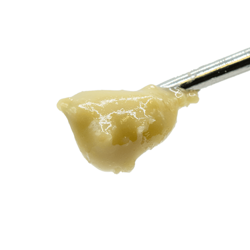 Society C - Society C | Black Maple | Live Rosin Badder | 1g - 1