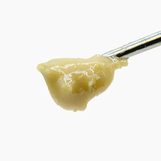 Society C - Society C | Black Maple | Live Rosin Badder | 1g - 1