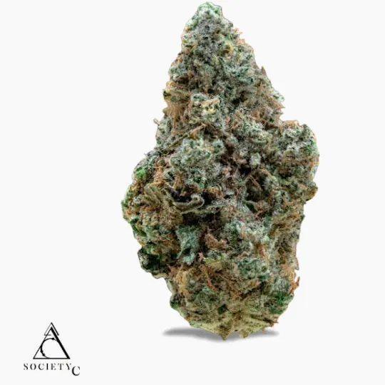 Society C - Society C | Amoretto Sour | Big Buds | 14g - 1