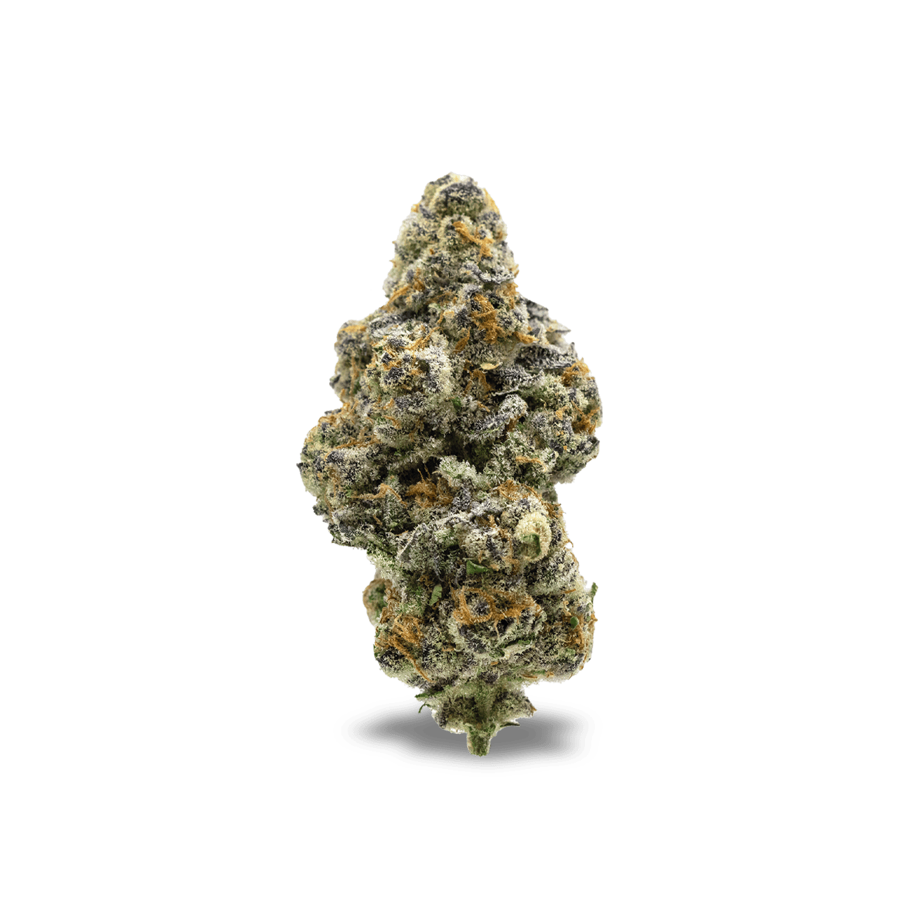 Society C - Society C | El Chivo | Big Buds | 1g - 1