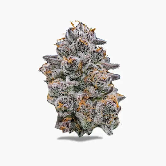 Society C - Society C | Cadillac Rainbows | Big Buds | 1g - 1