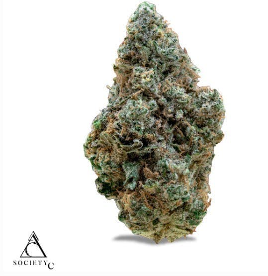 Society C - Society C | Amoretto Sour | Big Buds | 1g - 1