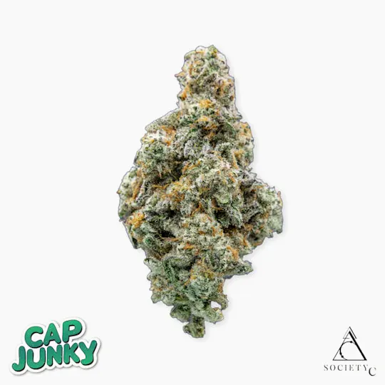 Society C - Society C | Cap Junky | Big Buds | 3.5g - 1