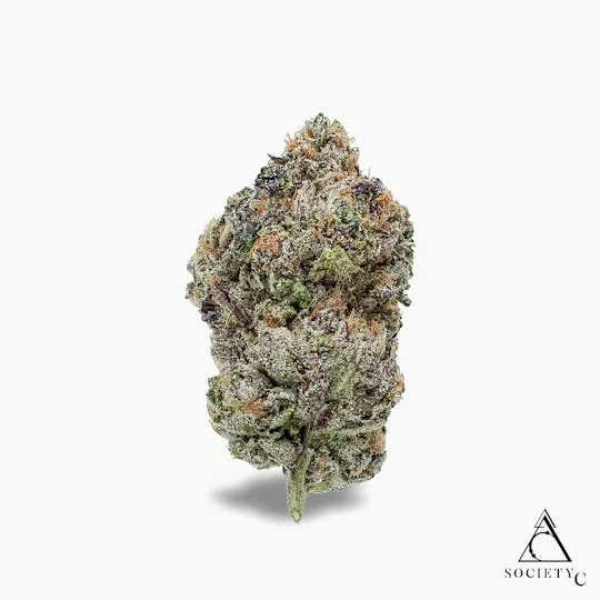 Society C - Society C | Jealous Cheesecake | Big Buds | 2g - 1