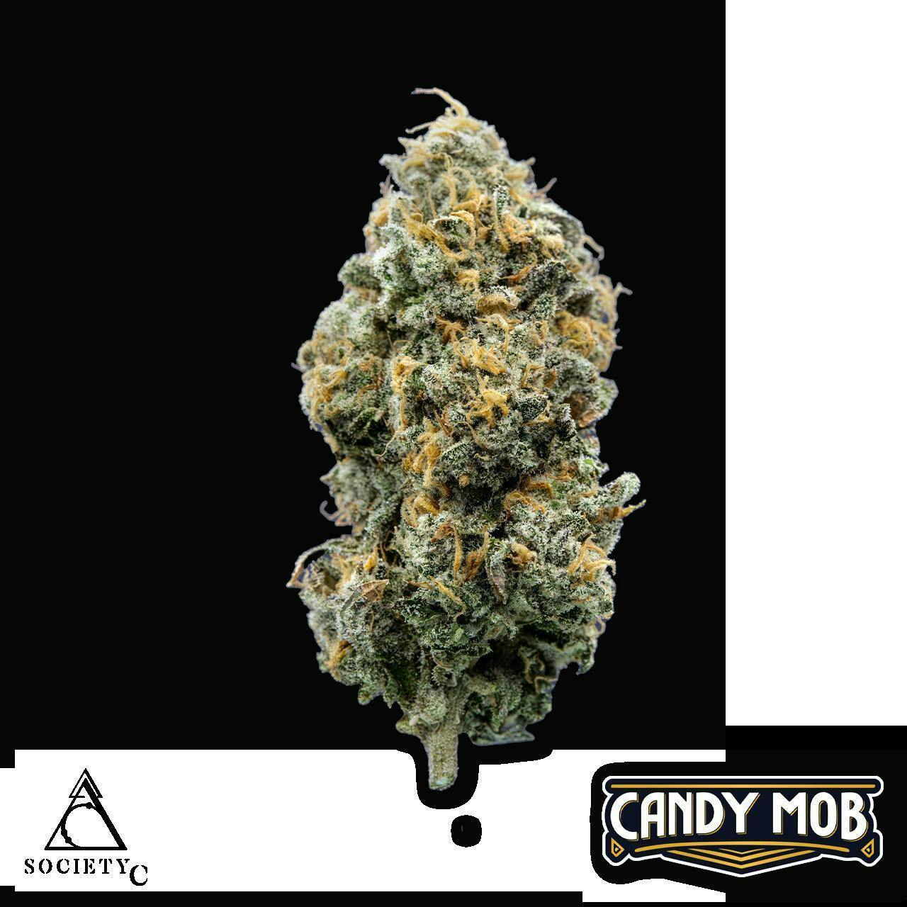 Society C - Society C | Candy Mob | Big Buds | 1g - 1