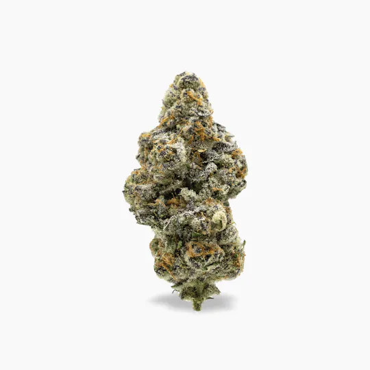 Society C - Society C | El Chivo | Big Buds | 7g - 1