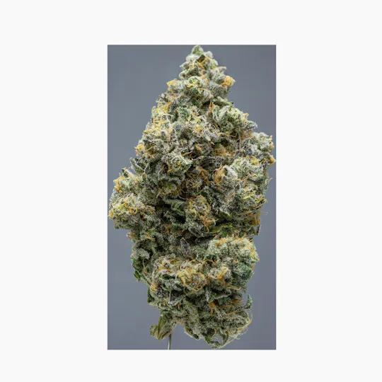 Society C - Society C | L.A. Purple Pop Rocks | Big Buds | 1g - 1