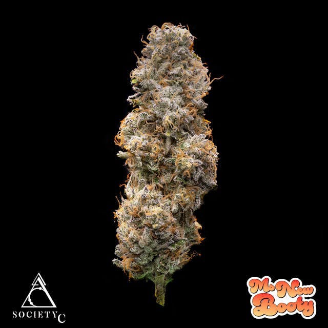 Society C - Society C | Ms. New Booty | Big Buds | 1g - 1