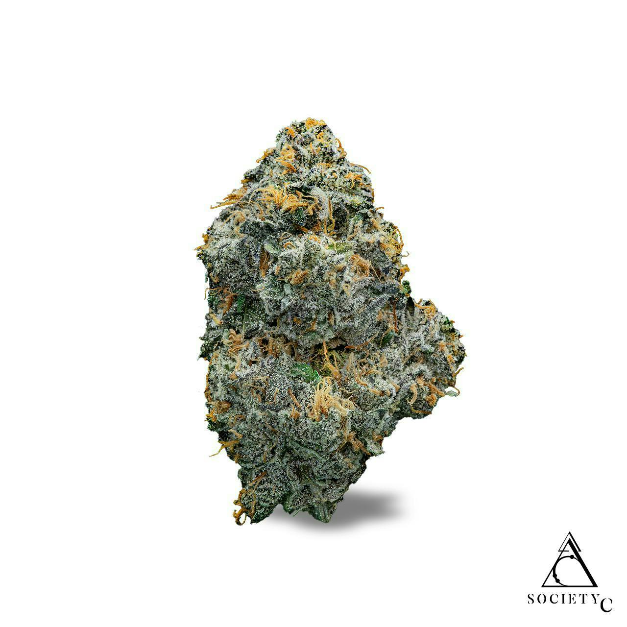Society C - Society C | Glitter Bomb | Big Buds | 7g - 1