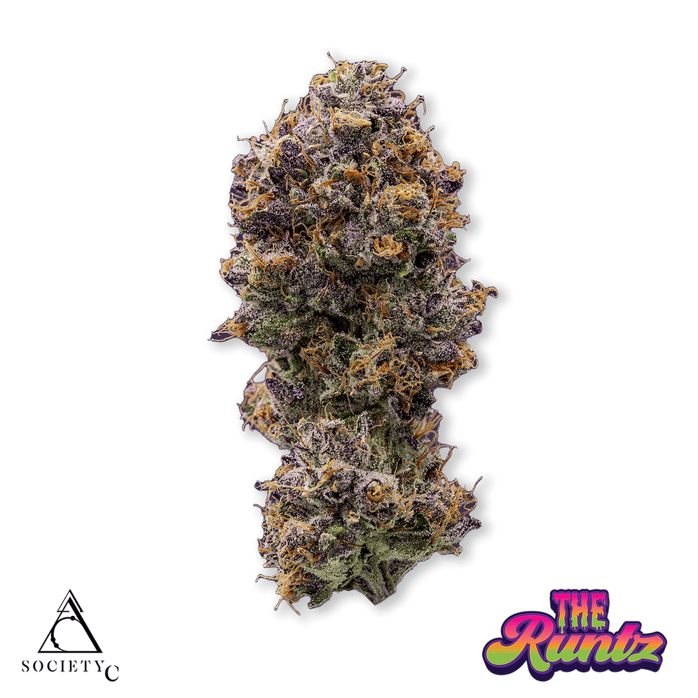 Society C - Society C | The Runtz | Big Buds | 14g - 1