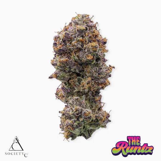 Society C - Society C | The Runtz | Big Buds | 14g - 1