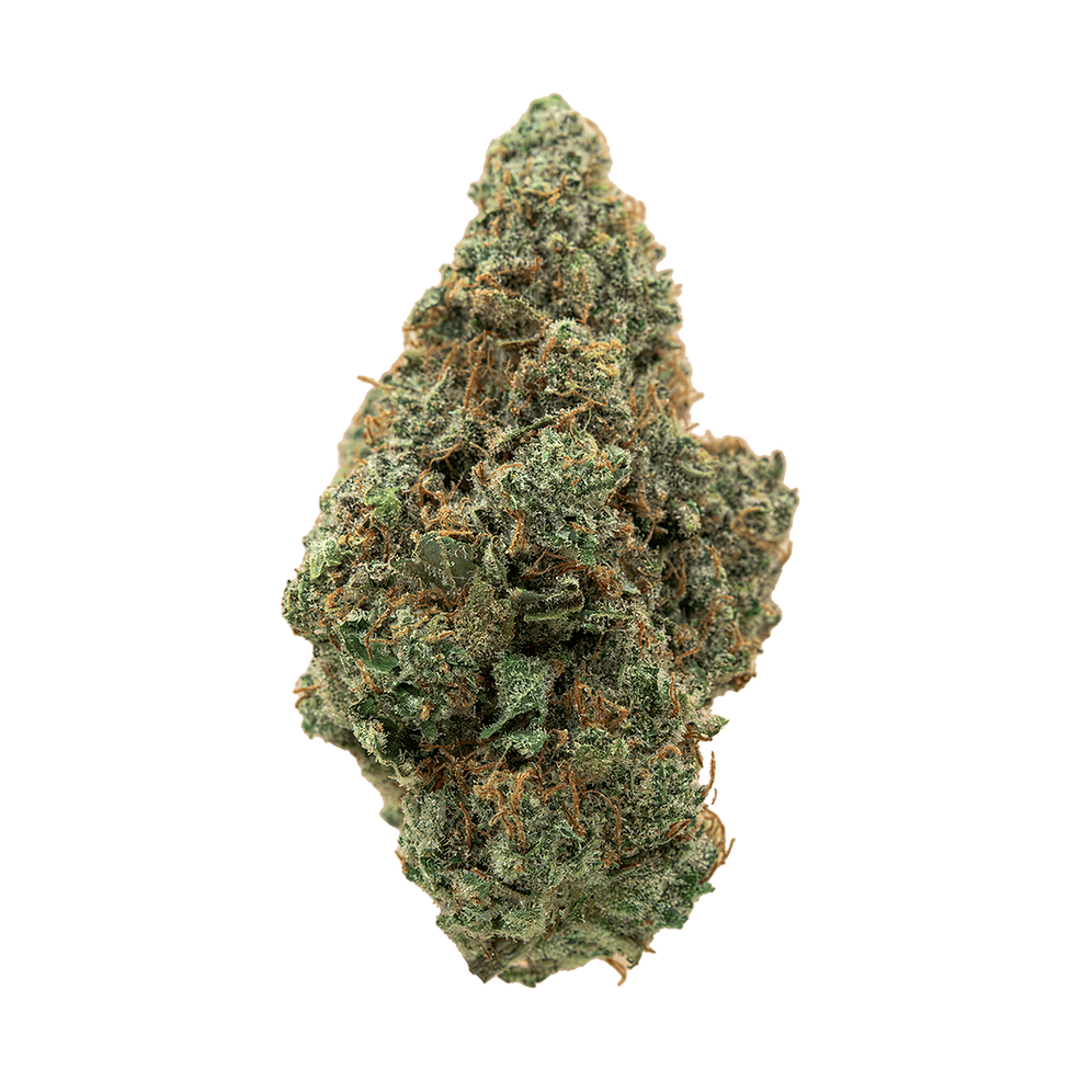 Society C - Society C | Headband | Big Buds | 1g - 1