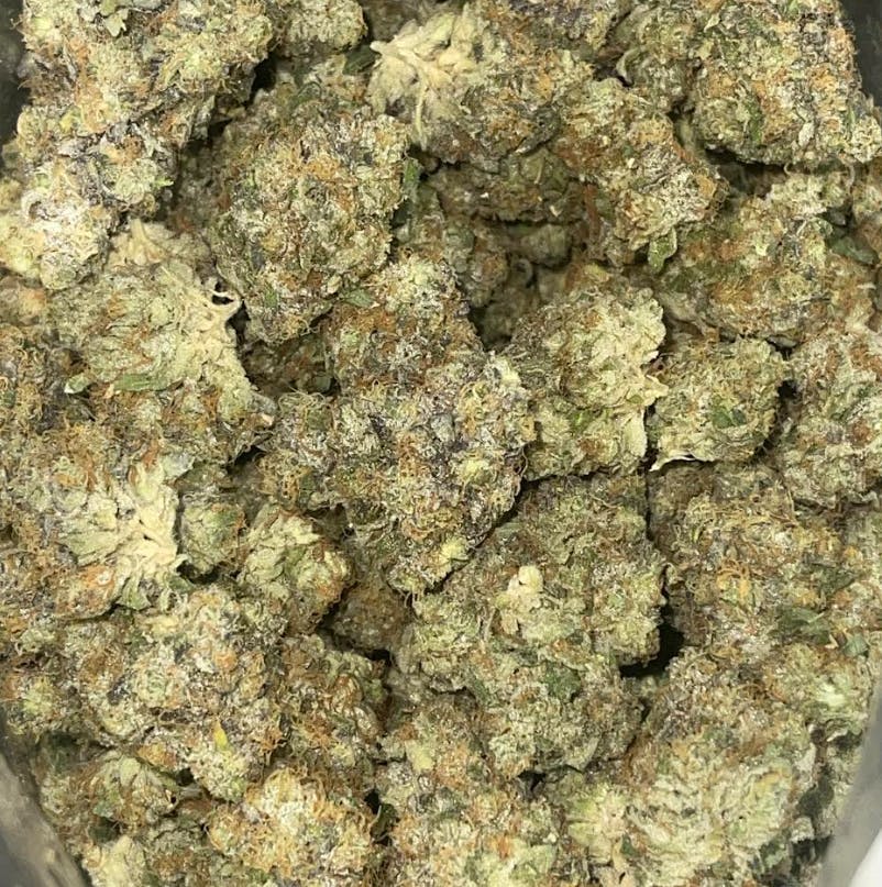 Society C - Society C | Gastro Pop | Big Buds | 14g - 1