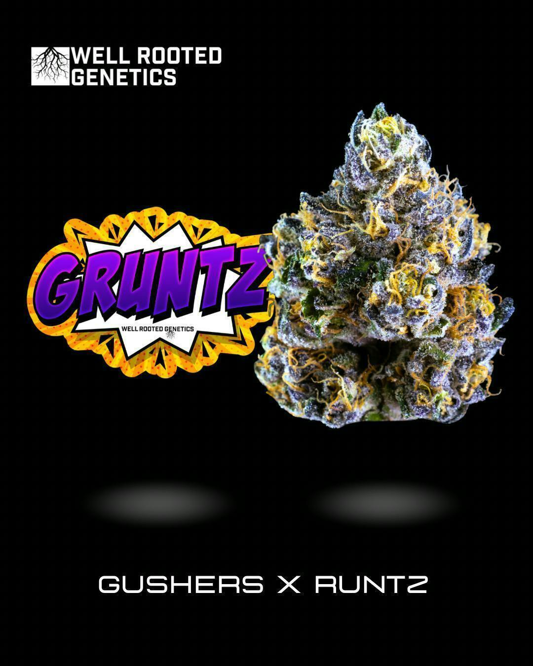 Well Rooted Genetics - Well Rooted Genetics | Gruntz | Big Buds | 3.5g - 1