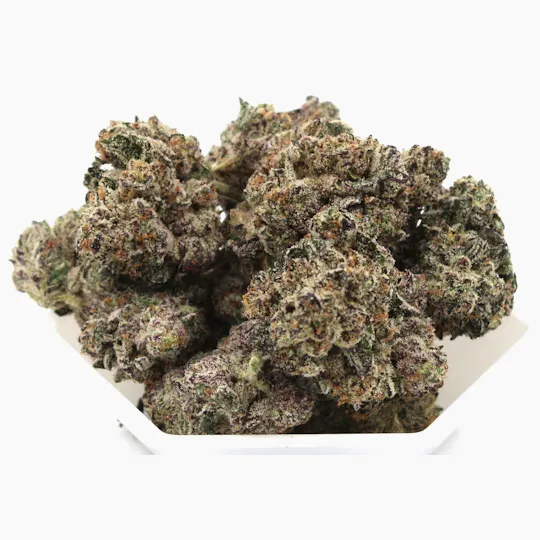 Terp Mansion - Biscotti x Sunset Sherbert 3.5g Flower - 1