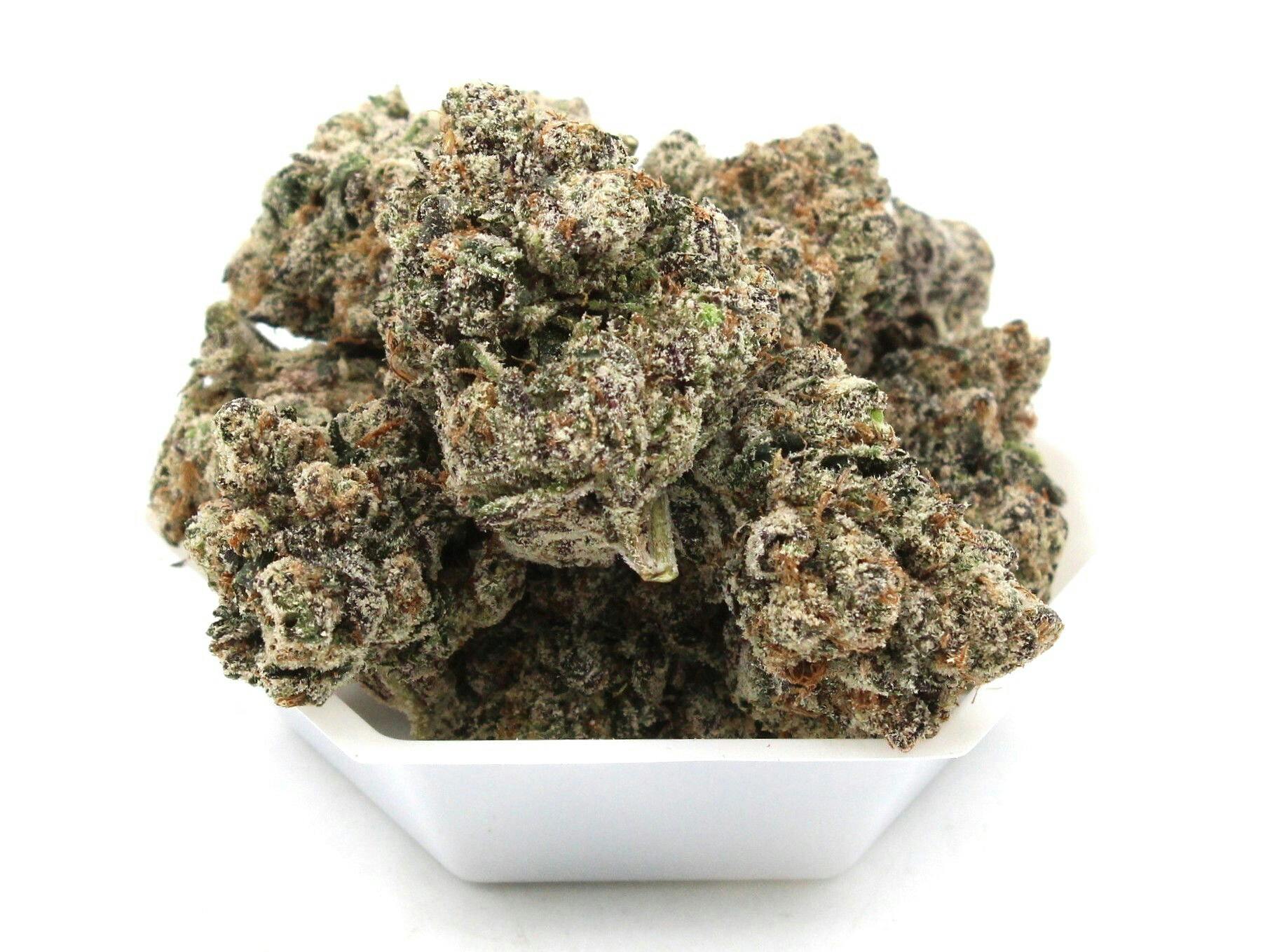 Terp Mansion - Biscotti x Sunset Sherbert 14g Flower - 1