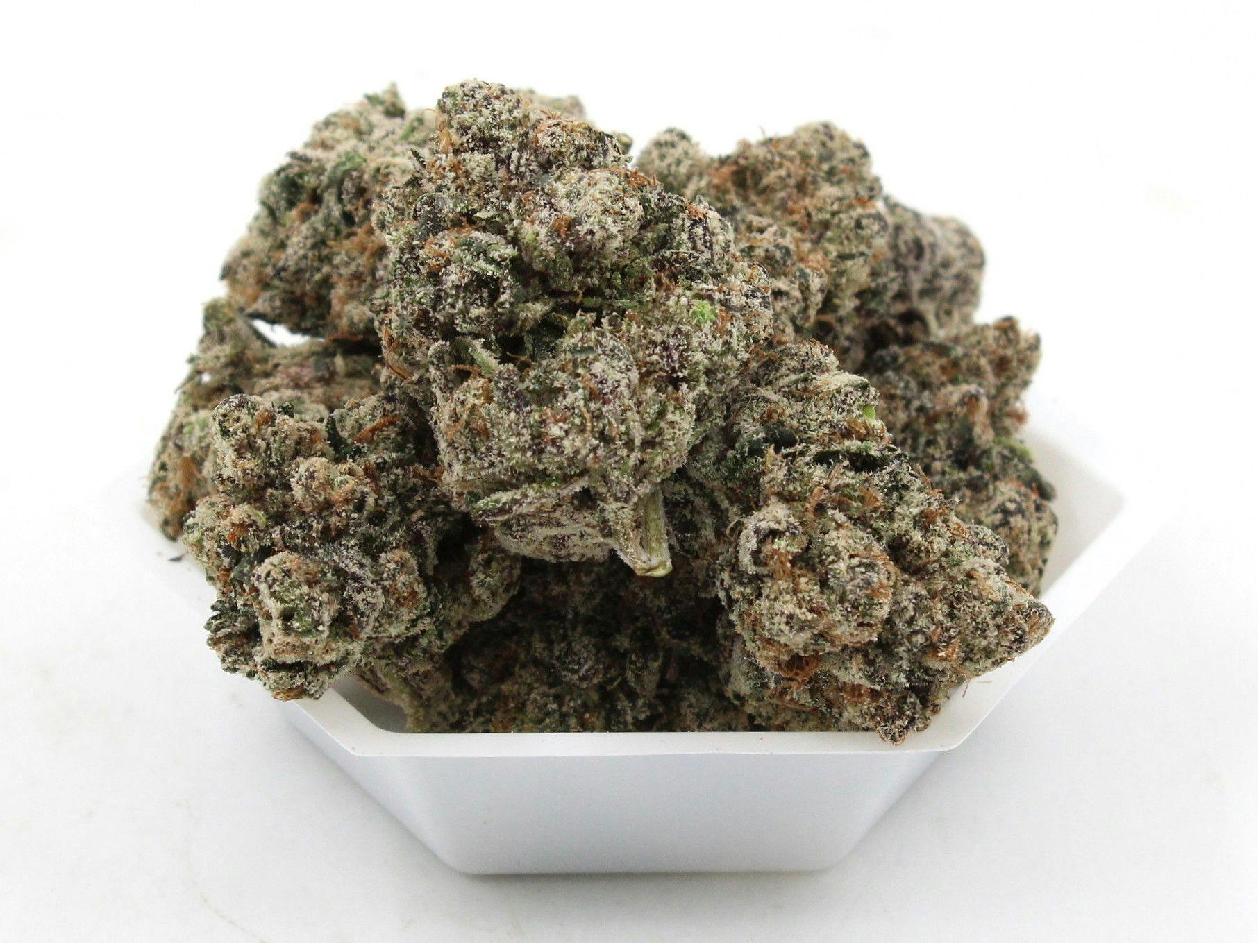 Terp Mansion - Pink Runtz 3.5g Flower - 1