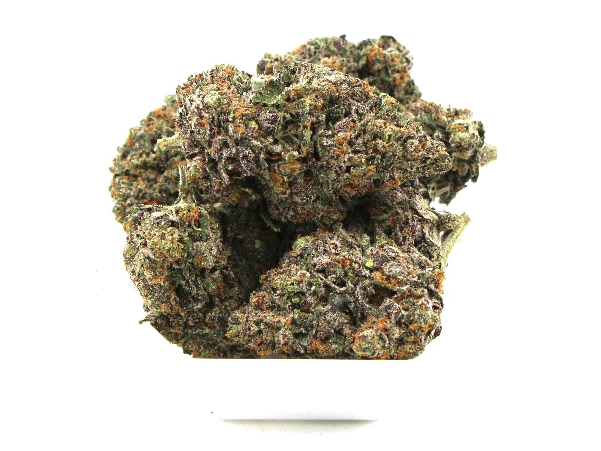 Terp Mansion - Gelato 41 3.5g Flower - 1