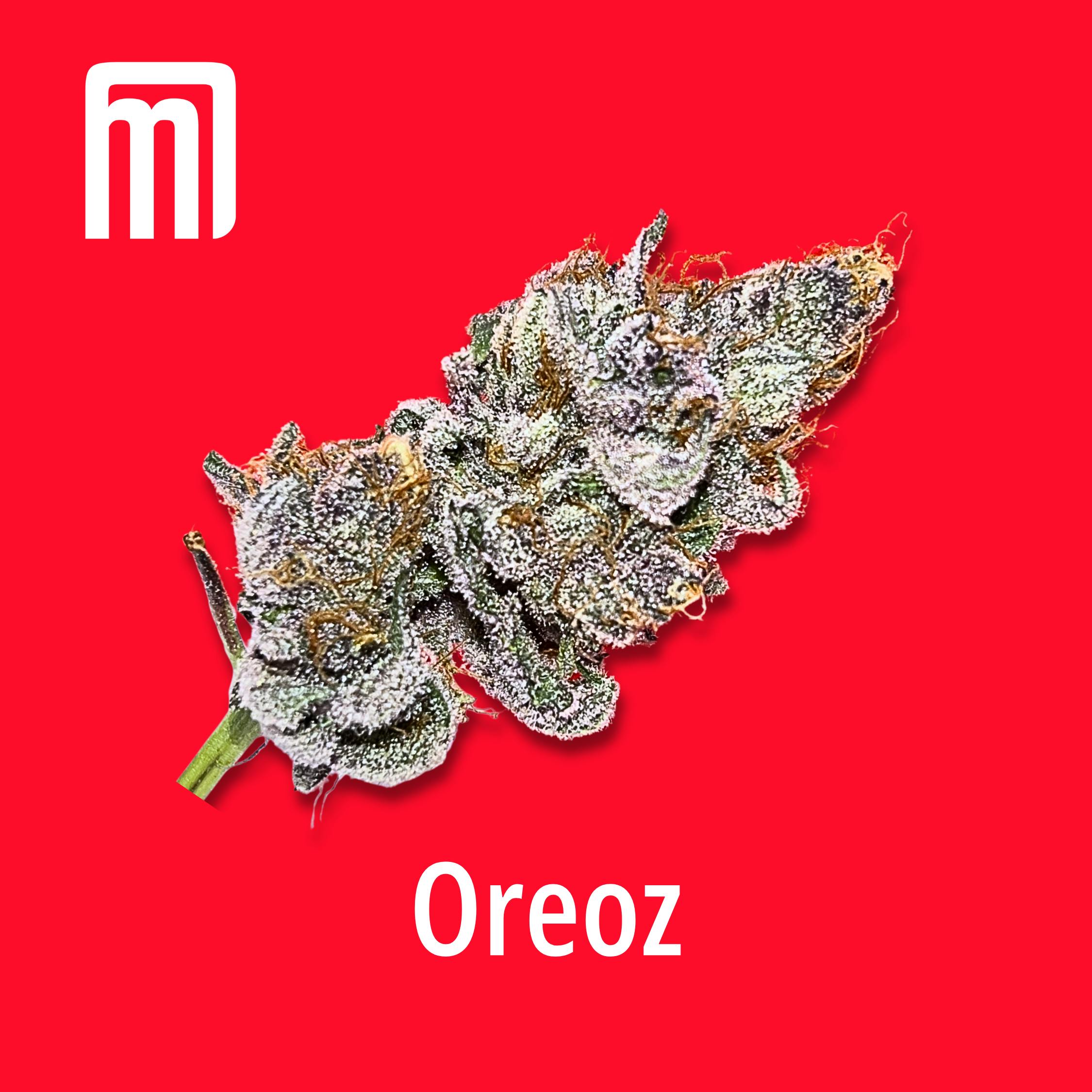 Moment Maryland - Oreoz - 1