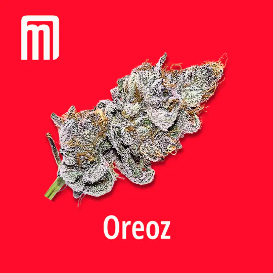 Moment Maryland - Oreoz - 1