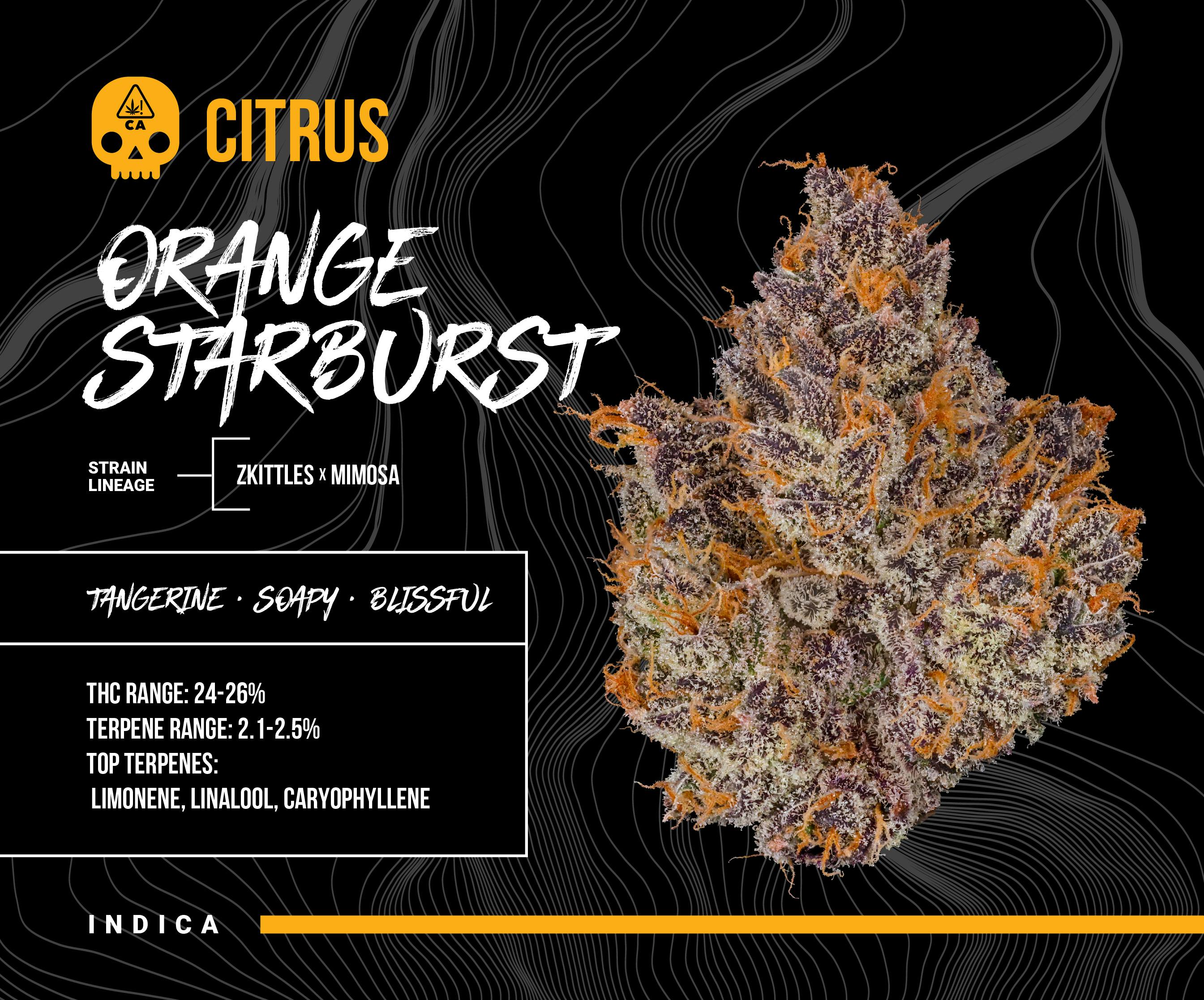 Bosky Genetics - BOSKY | Orange Starburst | Big Buds | 3.5g - 1