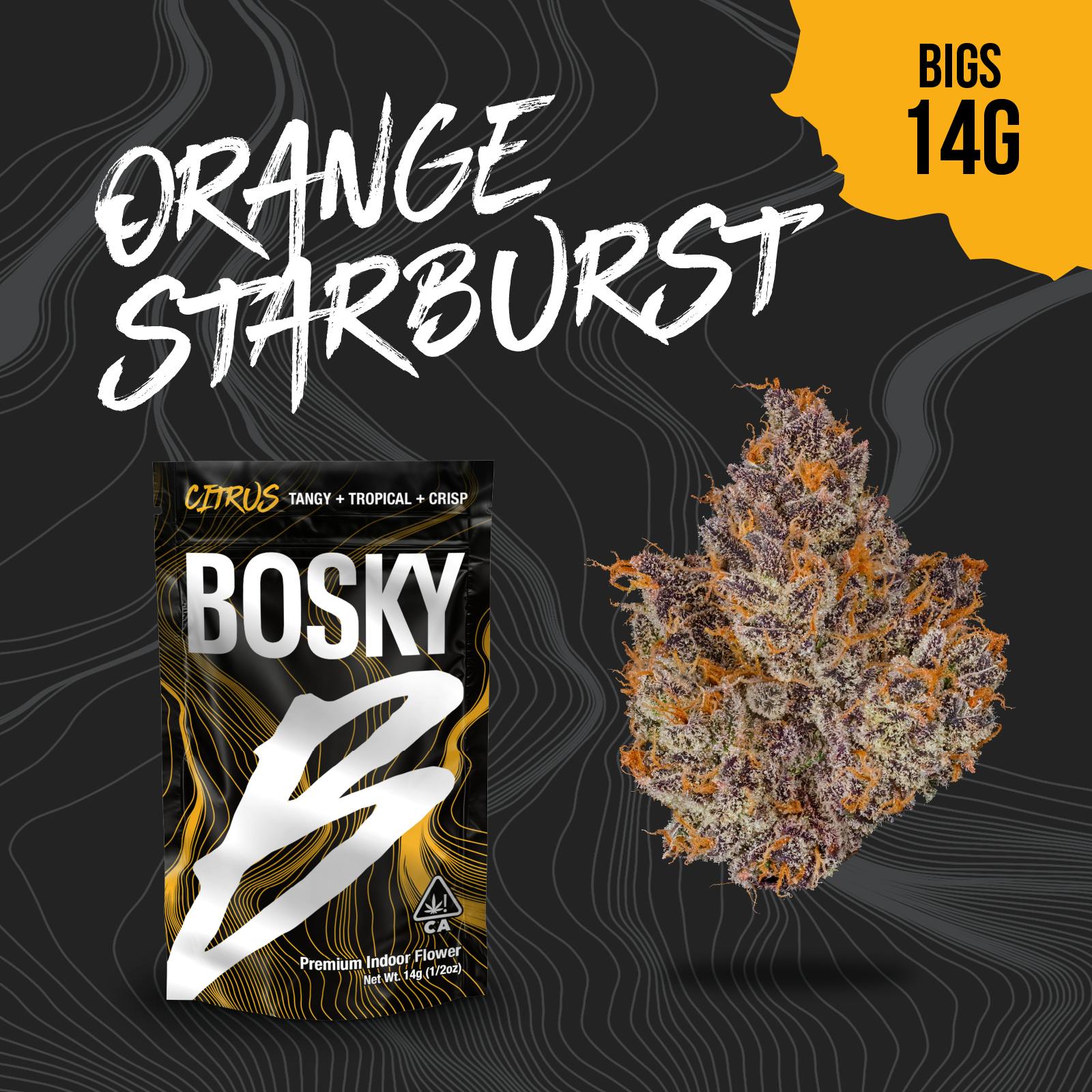 Bosky Genetics - BOSKY | Orange Starburst | Big Buds | Citrus | 14g - 1
