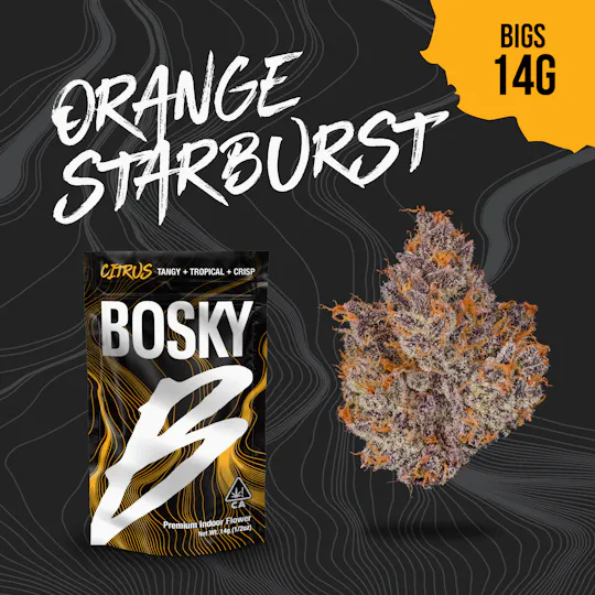 Bosky Genetics - BOSKY | Orange Starburst | Big Buds | Citrus | 14g - 1