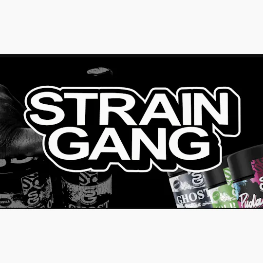 Strain Gang - Strain Gang | HEADBAND | Joint | 0.5g each | 2pk - 1