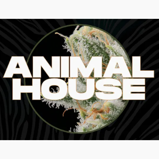 Animal House - Animal House | Vanilla Cream Indoor | Flower | 14g - 1